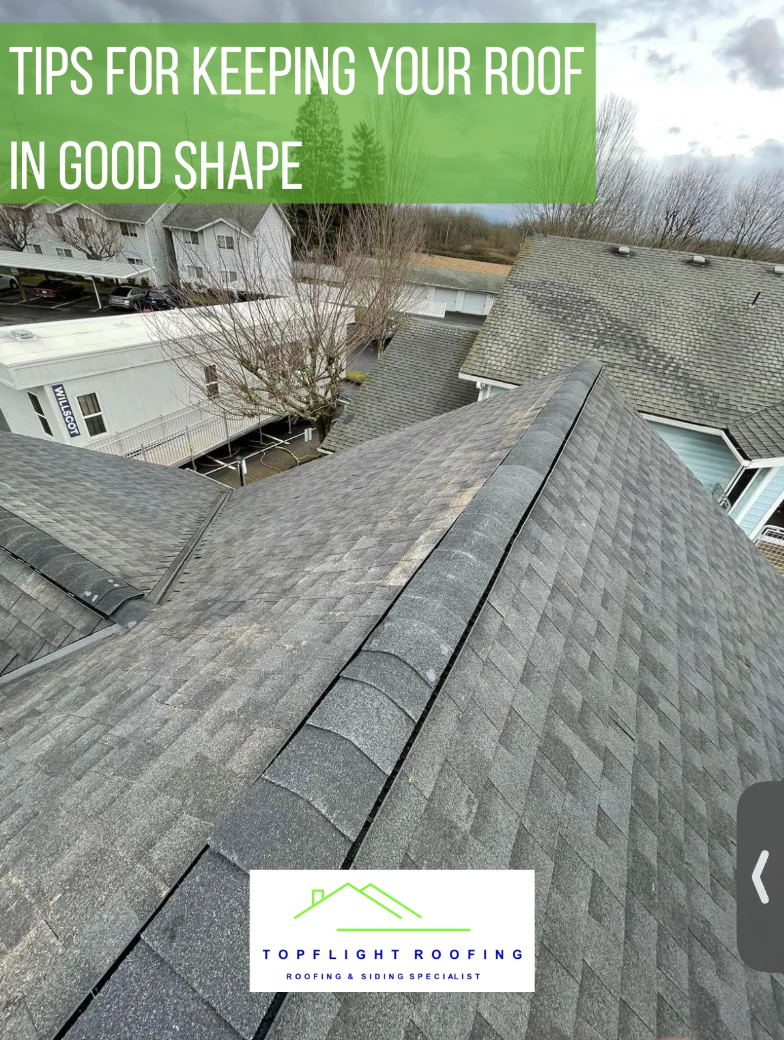 Spotting Roof Damage: A Simple Guide to Save Money on Repairs