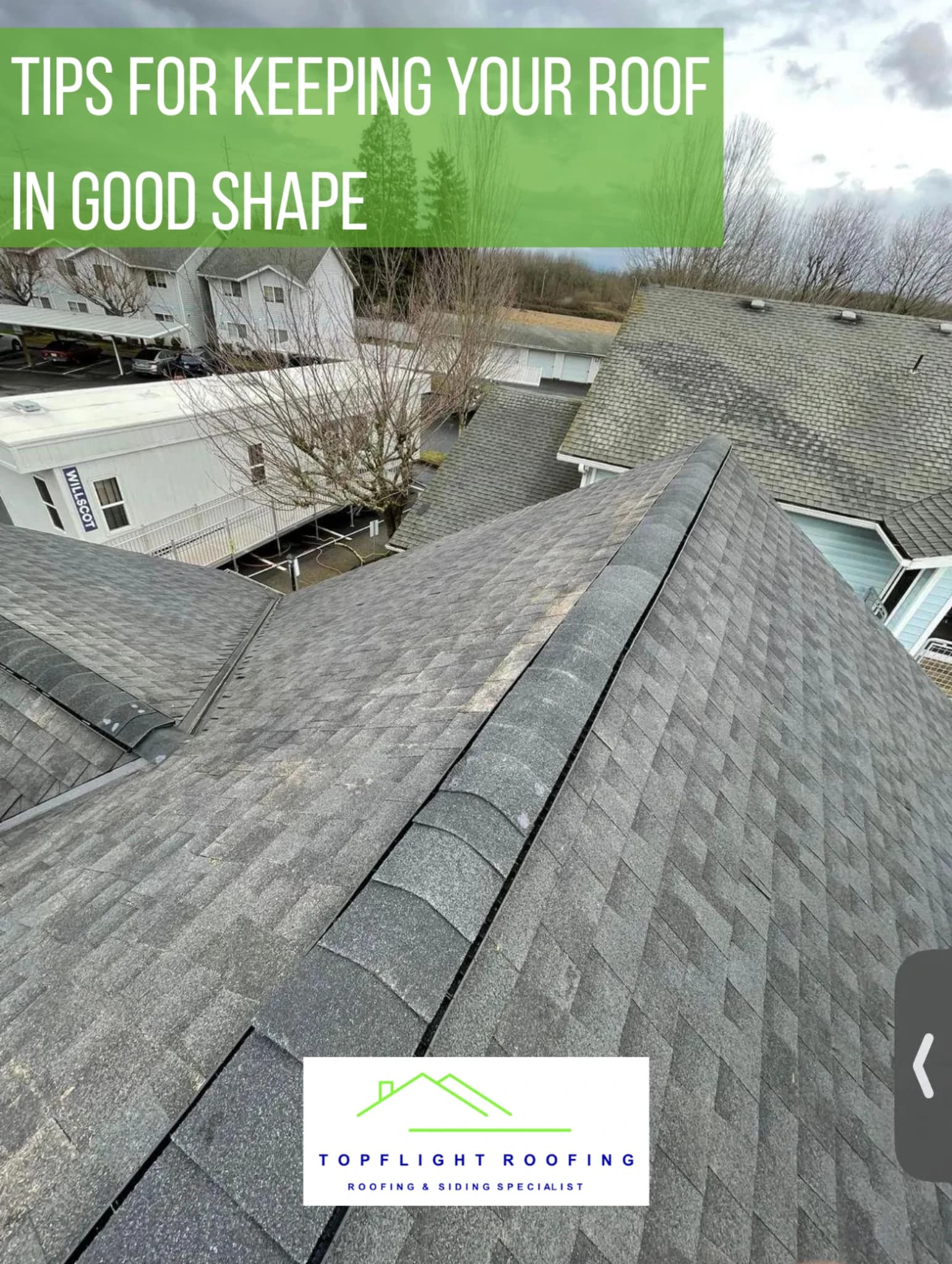 Spotting Roof Damage: A Simple Guide to Save Money on Repairs